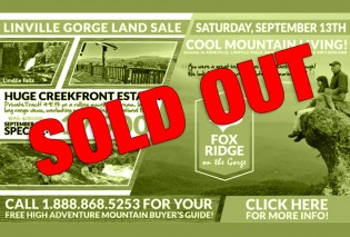 SOLD OUT